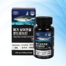에버그린 이미지