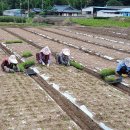 완주로컬 잡센터 이미지