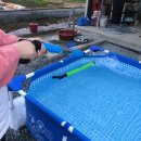 순옥농장 이미지