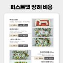 아마레펫 이미지