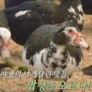 박규철농장 이미지