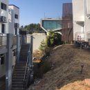 마레모어 이미지