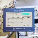 높은 시야 선명도와 얇은 두께를 자랑하는 자이스 클리어뷰 1.6 블루가드 DP/판매후기