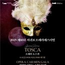 가족오페라 ’신콩쥐’ 이미지