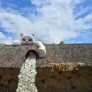 온천파크 | 베트남 나트랑 여행시기, 나트랑 아이리조트 머드온천 워터파크 후기