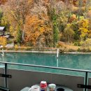 모모세탁소 | [신혼여행] day 7_슈피츠·툰 하루 코스 | 유람선 이동·툰 맛집·스위스 소 만난 날