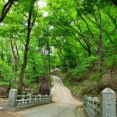등곡 | 보은 속리산 문장대(文藏臺) 등반