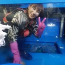 동강맑은송어 이미지