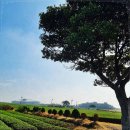 초록민박 이미지