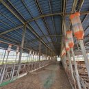 복 태양광발전소 이미지