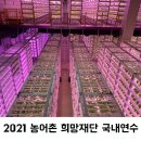 골든에이트팜 | 농림축산식품부/농어촌희망재단 <청년창업농 국내연수> 교육 후기 #1 (팜에이트/초록미소마을)