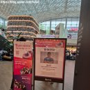 적천 | 코엑스 별마당도서관 8주년 행사 명사 특강 정선근 교수님 백년허리 백년목 후기 이벤트