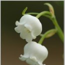 달맞이펜션 이미지