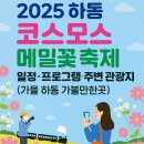 지리산구절초영농조합법인 | 🌸 2025 하동 북천 코스모스 메밀꽃 축제 일정·프로그램·주변 관광지 총정리 (가을 하동 가볼만한곳)