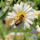 멱절길35번길 이미지