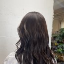 살롱드뉴욕 이미지