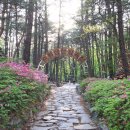 수리산산림욕장 이미지