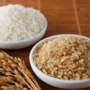 현미약품 이미지