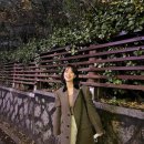 태연코리아 이미지