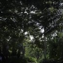 부영농장 이미지