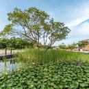 분성로261번길 이미지