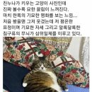 친누나가 키우는 고양이 이미지