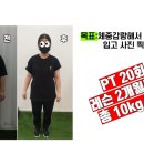 리틀포레짐 이미지