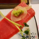 도참치 이미지