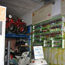 파토리아 이미지