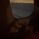 일로5일시장(1) | 휴양 준비물이 끝이 없다! 첫 베트남여행 해피냐짱(3박 5일)