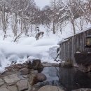 여행 영어(야간) 이미지