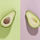 아보카도 이미지