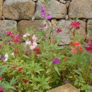 초가집 농장 이미지