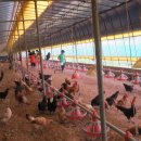 청해농장 이미지