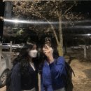 애비뉴원헤어