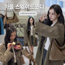 조이픽 | 요즘 가을가방 뭐 들어? 혜리 픽 조이그라이슨 스웨이드백 추천