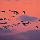 김영식공인중개사사무소 이미지