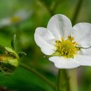 비지니스 골프클럽 이미지