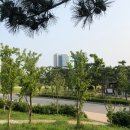 송도공원주