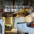 가람자원 | 울산 삼산 시티뷰 조식포함 7만원대 3성급 호텔 신라스테이 울산