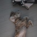 몽클라우드 이미지