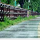 우두강둑길 이미지