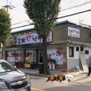 강화철판낙지 이미지