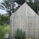 고사리맨션 이미지