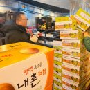 시장과일 - 포항시 남구 장기로 1694 | 시장과일