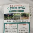 서신팜