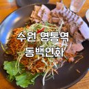 수원 영통역 술집 추천 이자카야 동백연화 저녁 식사 후기