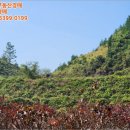 산후1리다목적회관 이미지