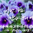 다옴공인중개사사무소 이미지