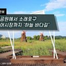 바다어시장 이미지